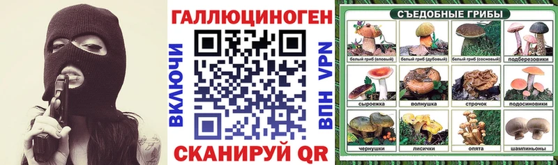 даркнет сайт  Коломна  Галлюциногенные грибы MAGIC MUSHROOMS 