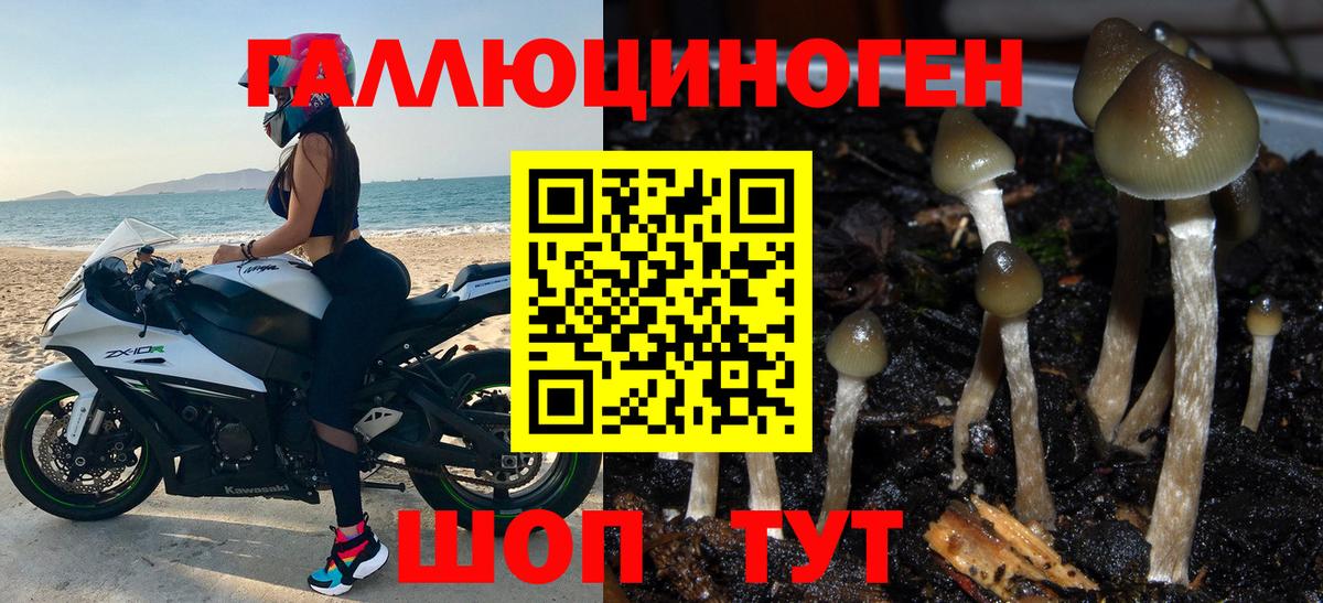 Коломна  Псилоцибиновые грибы Psilocybe  Вход с VPN 