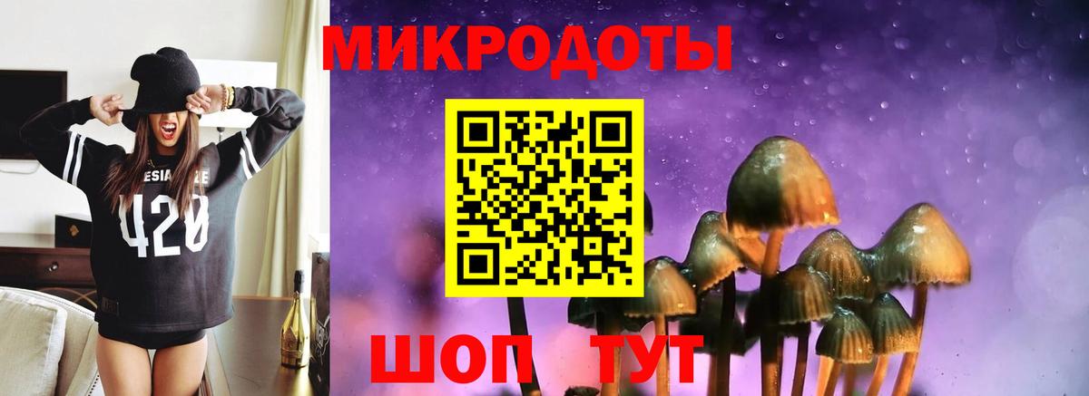 Галлюциногенные грибы GOLDEN TEACHER  Коломна 