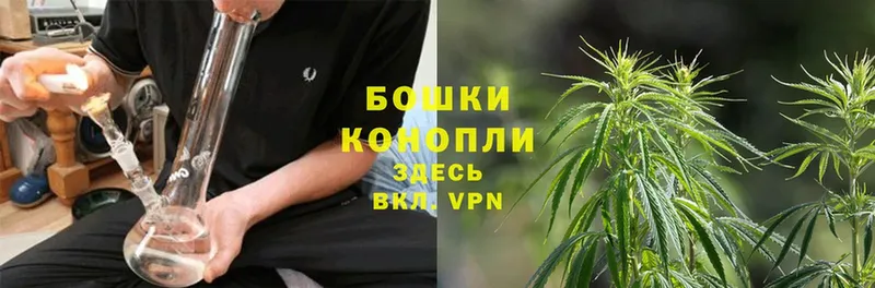 цена наркотик  Коломна  Шишки марихуана SATIVA & INDICA 